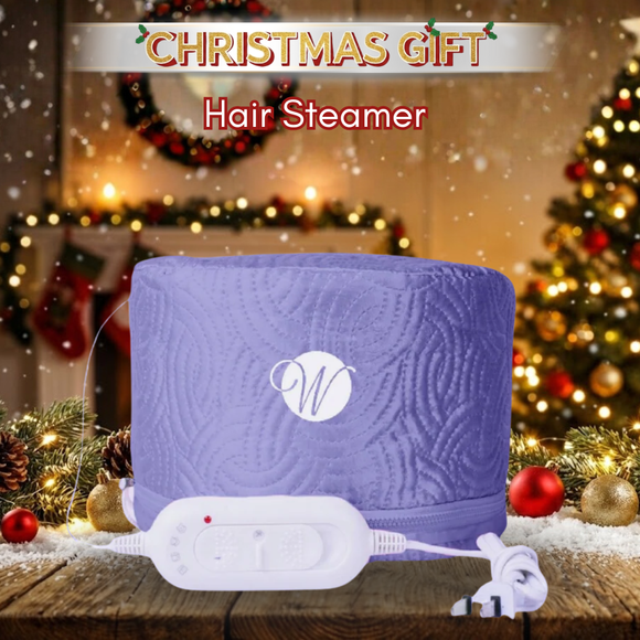 [SALE 10%] Hair Steamer