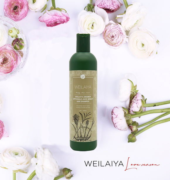 Weilaiya Zingiber Officinale Juice Bright Hair Shampoo for Strong, Smooth & Silky Hair [For dry hair]