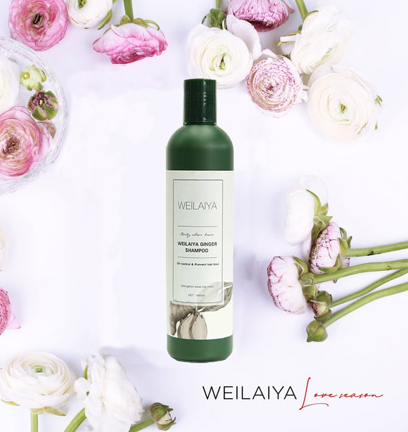 Weilaiya Ginger Shampoo Oil-control & Prevent Hair Loss [For oily hair]